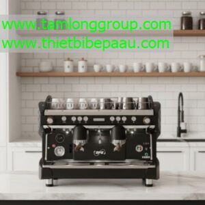 Máy pha cà phê BFC Deep Black RS 2 Group